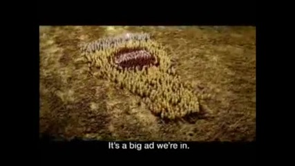 10-те Най - Добри Реклами На Бира