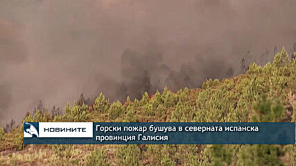Пожарникари опитват да потушат горски пожари в Гърция