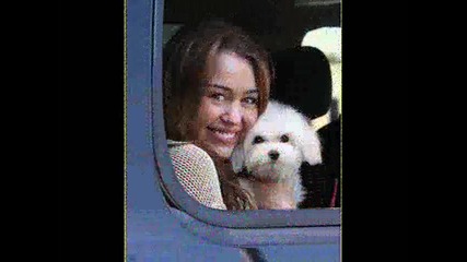 |~ Miley Cyrus ~|