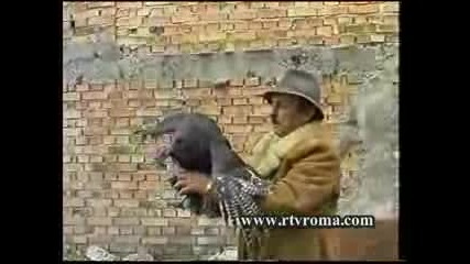 Tvroma - Dikaftu, Kahaftu