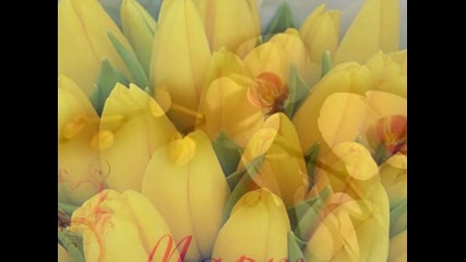 Честит 8 Март