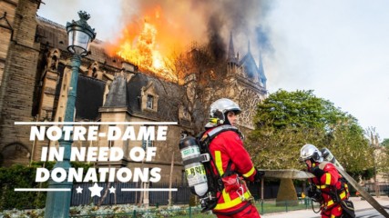 French billionaires still not paying for Notre-Dame damage