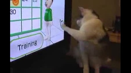 Котка си играе с мишката на екрана