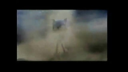 Sonic vs Shadow vs Silver vs Mephiles