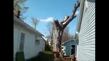 Смях - Така Се Реже Дърво 