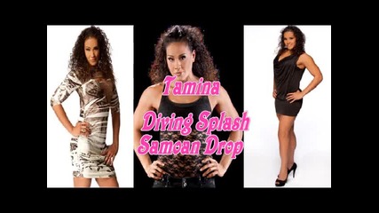 Wwe Divas and Tna Knockouts 2011 finishers