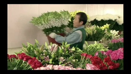 Beethoven virus, 18 Ep18, #04