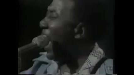 Muddy Waters - Hoochie - Coochie Man (1972) 