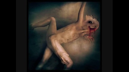 Exiva - Damper