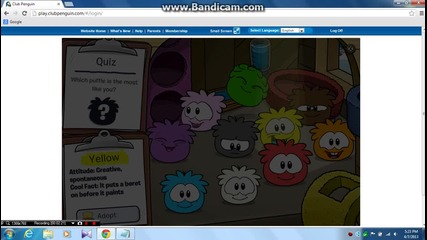 Club Penguin ep 1