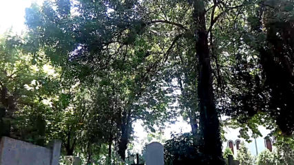 VID_20150612_131309