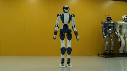 Humanoid Platform for Robotics 