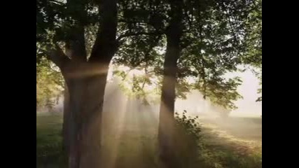 Nicholas Gunn - Magic Forest 