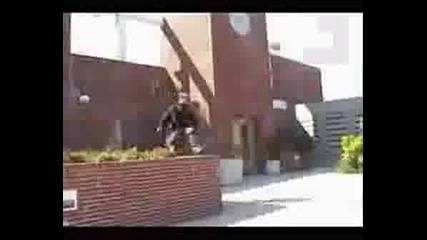 Side Flip