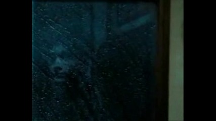 Harry & Ginny - When You Love Someone