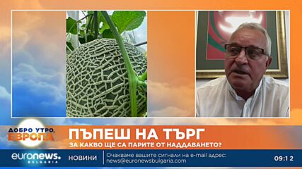 Търг на специалния "кралски" пъпеш ще се проведе в Пловдив