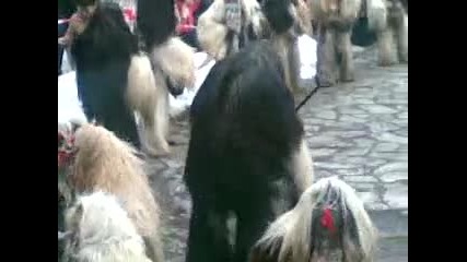 kalugerovo 2010