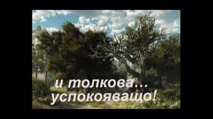 дъжд 