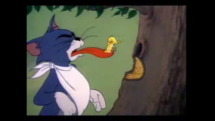 Tom&jerry