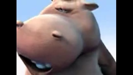 hippo and dog