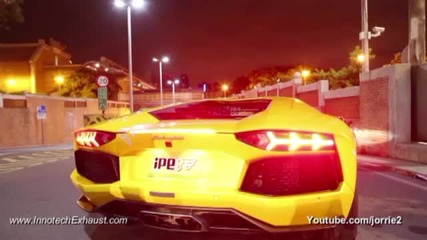 Lamborghini Aventador - Animal