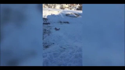 Януарски Мега гафове
