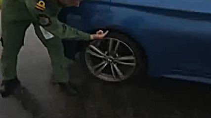 Коте измина 480 километра в бронята на Bmw