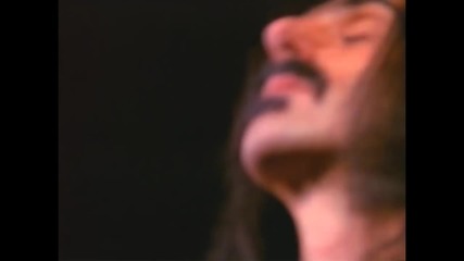 Frank Zappa Muffin Man Live 1977 Hd