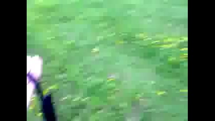 Tabiatin Muhtesem Guzeli 2014 Hd
