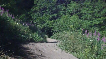 Още от Нaционалния Dh шампионат Боровец