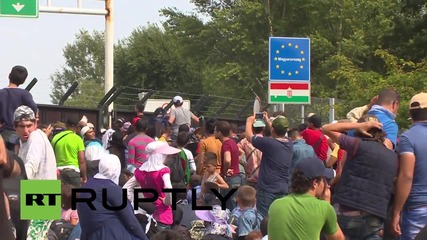 Serbia: ‘Shame on Europe!’ Refugees protest border closure at Hungarian frontier