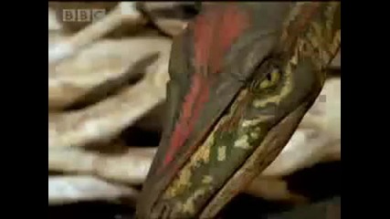 Dinosaur Supremacy - Bbc