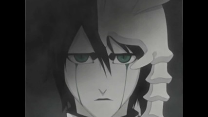 Bleach- The Nobodies