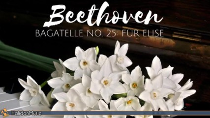 Beethoven - Fr Elise Classical Piano Music
