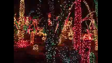 Christmas Cactus Garden Las Vegas