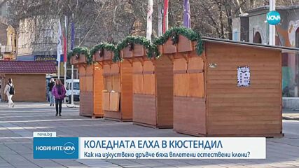 Кюстендил с интересна и различна коледна елха