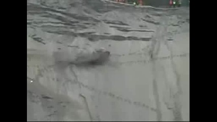 Лудо изкачване