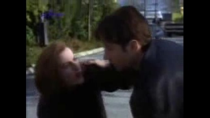 X - Files (!) 
