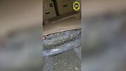 Удар на ГДБОП: Спипаха контрабанда на 400 кг марихуана за над 4 млн. евро