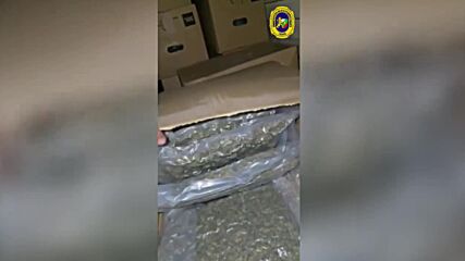 Удар на ГДБОП: Спипаха контрабанда на 400 кг марихуана за над 4 млн. евро