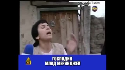 Млад меринджей