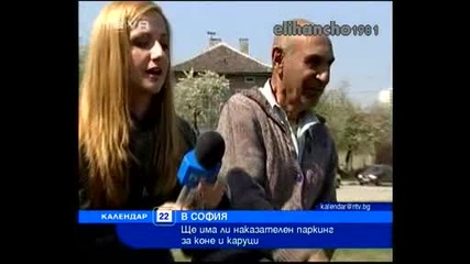 Цигански коне на Паркинг - Наказателен