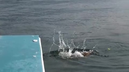 Кучето плувец! Забавно видео! 
