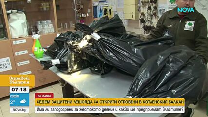 С примамки с отрова: Кой уби 7 редки лешояда в котленския Балкан