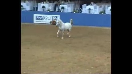 Marhaabah 2008