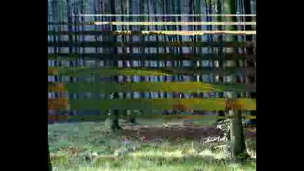 Karunesh - Magic Fields
