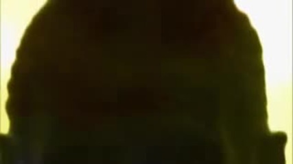 Stereo Mcs Black Gold 