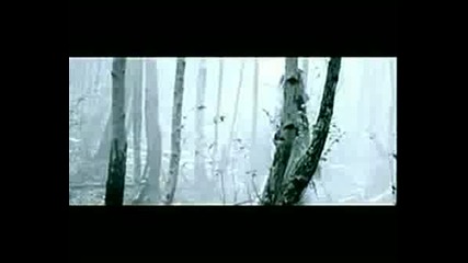 Таря Турунен - Ходя Сама /clip mix/