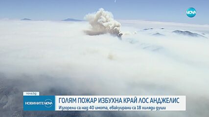 Пожарът край Лос Анджелис е обхванал площ от 200 хиляди декара