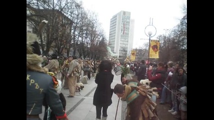 Surva Pernik 2013